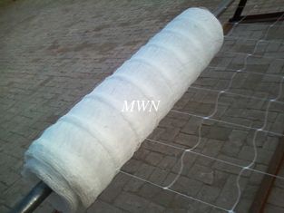 China plant climbing netting, extruded netting, 10cm, 15cm holes supplier