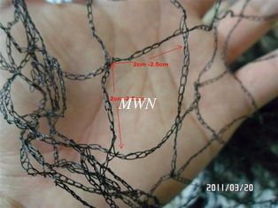 China 2.5 x 2.5cm light bird netting for garden supplier