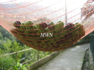 China Olive Nets for olive harvest supplier