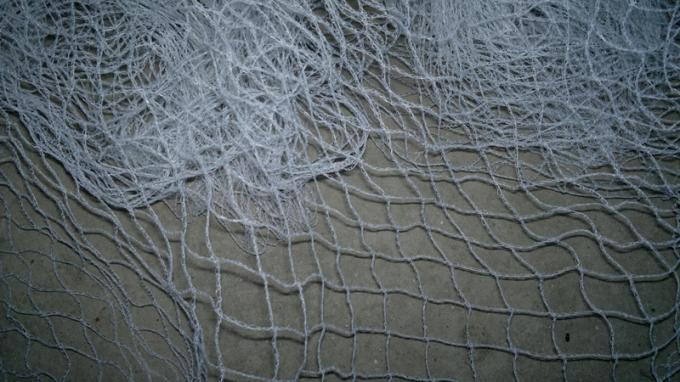 Anti bird netting protect grape plants, HDPE100%