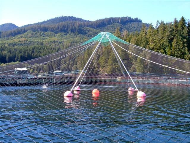Fishing Nets- Nylon strong fiber material