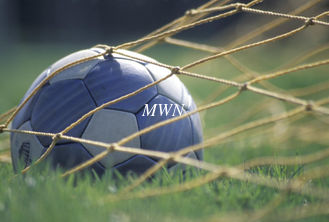 China FOOTBALL NET supplier