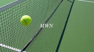 China Black, knotless Tennis Nets supplier