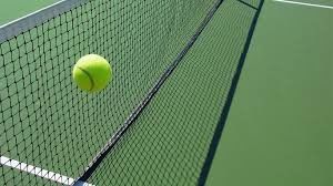 Black, knotless Tennis Nets supplier