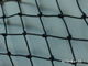 black knotted bird netting supplier