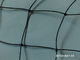 black knotted bird netting supplier