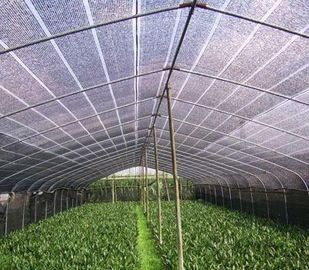 Shade Netting, Black Color, 100% PE, UV Protection supplier